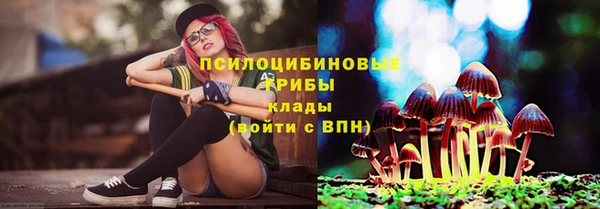 мет Белокуриха