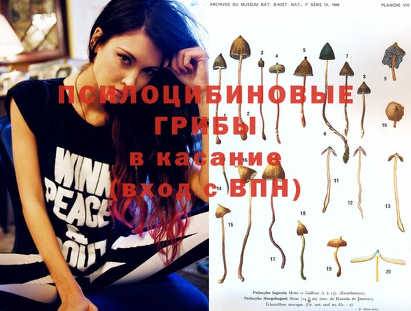 молекула духа Беломорск