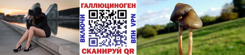 ОМГ ОМГ Онега Псилоцибиновые грибы Psilocybine cubensis