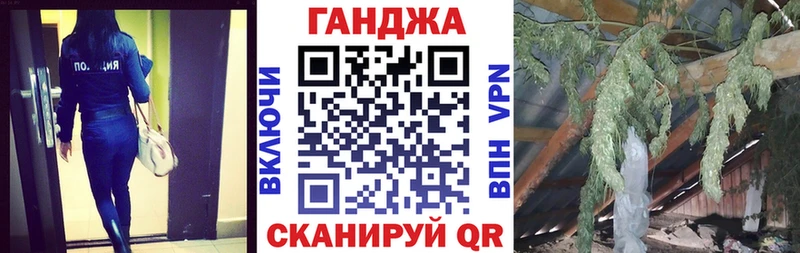 Конопля VHQ  Онега 